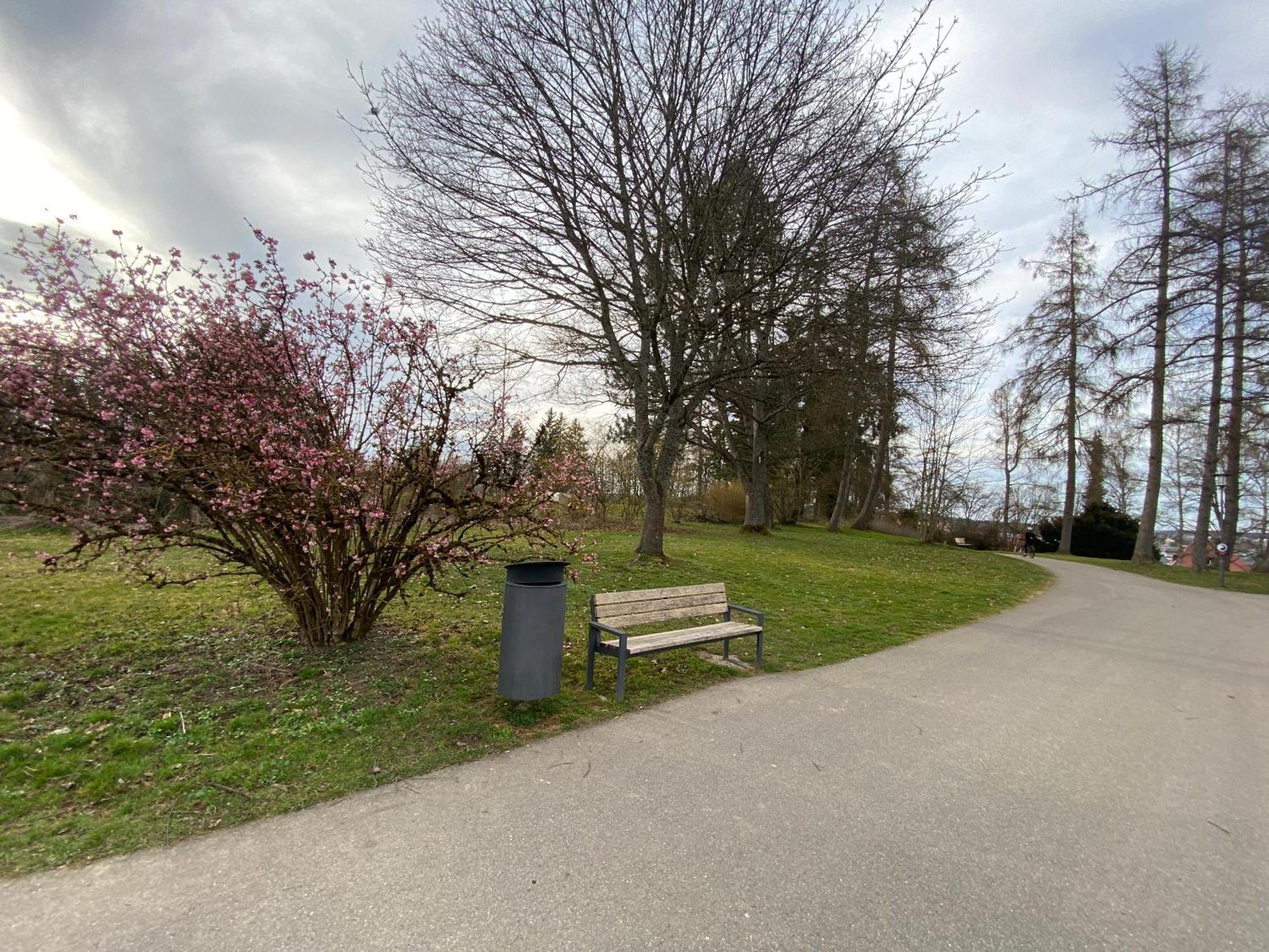 Schwarzwaelder 3 Zimmer Wohnung In Villingen Mit 2 Schlafzimmer Buitenkant foto